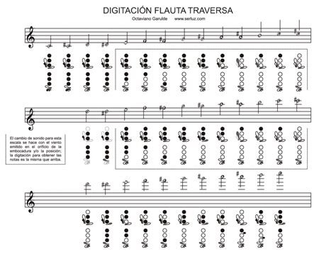 Cómo Tocar La Flauta Travesera Las Bases Info Instrumentos