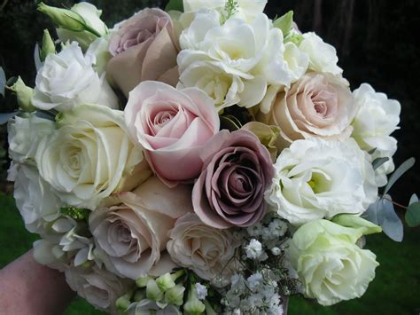 Vintage Bouquet Of Creamy Pink Sweet Avalanche Roses Ivory Avalanche