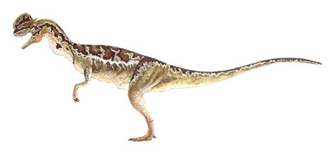 Dilophosaurus Jurassic Park Wiki Fandom Powered By Wikia