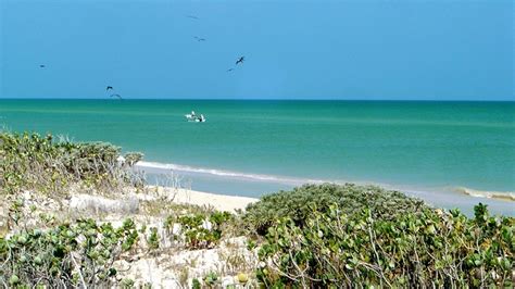 Las Mejores Playas Del Golfo De México