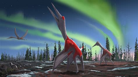 Meet Cold Dragon Of The North Winds The Giant Pterosaur That Once