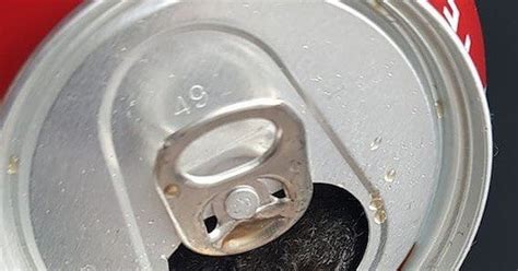 man shocked to find a dead mouse in his coca cola can after drinking it whole world news