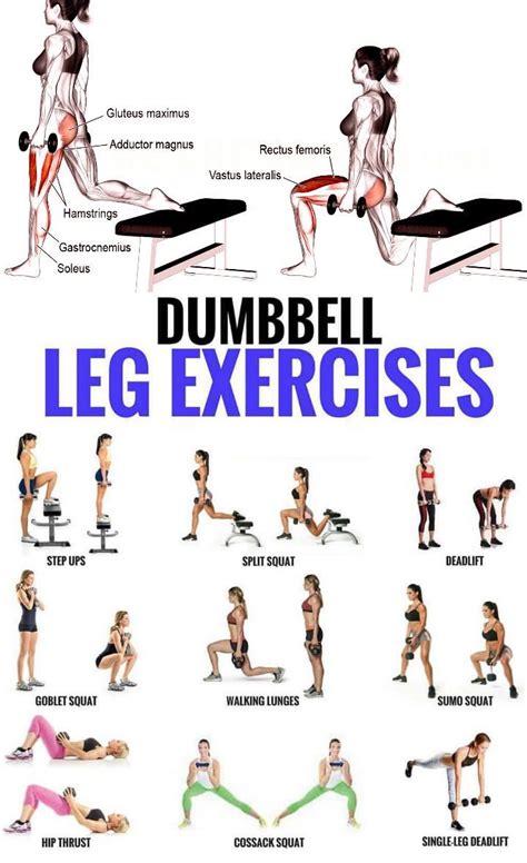 Dumbbell Leg Workouts Exercises For Building Stronger Legs