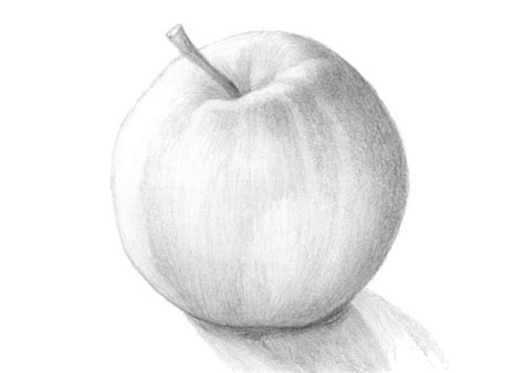 How To Draw An Apple Tutorial Step By Step Easydrawingtips