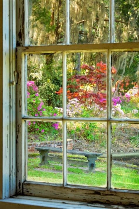 Your Garden May Be The View From Someones Window Lead Windows