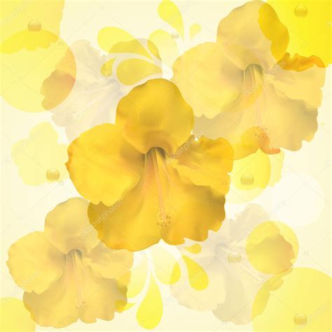 Yellow Hibiscus Flower Background — Stock Vector © Elaineitalia 7659806