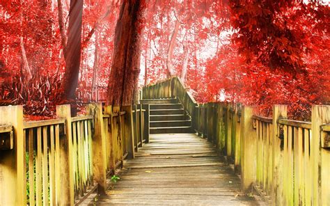 Autumn Park Walkway Stairs Trees Red Leaves Wallpaper Travel And