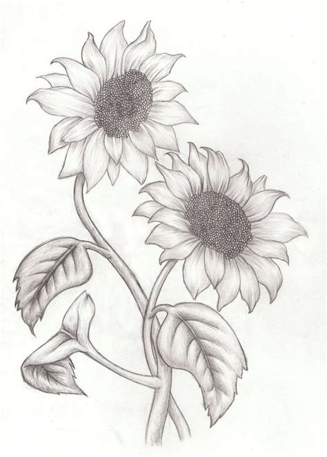 Check spelling or type a new query. How to Draw a Sunflower Easy Step by Step Drawing Guides ...