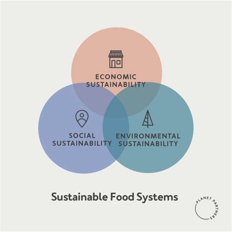 What Are Sustainable Food Systems The Environmentor