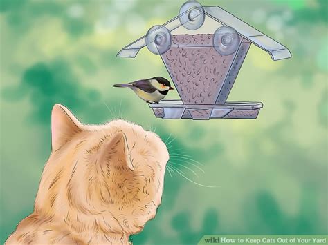 Tips to stop your dog from jumping on people. 3 Ways to Keep Cats Out of Your Yard - wikiHow
