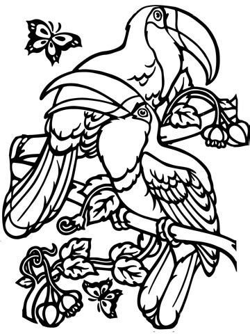 Select from 35970 printable coloring pages of cartoons, animals, nature, bible and many more. Two Toucans coloring page | SuperColoring.com