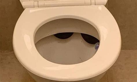 Man Makes Shocking Find In His Toilet Bowl So Can You See Why He Was So Terrified Daily