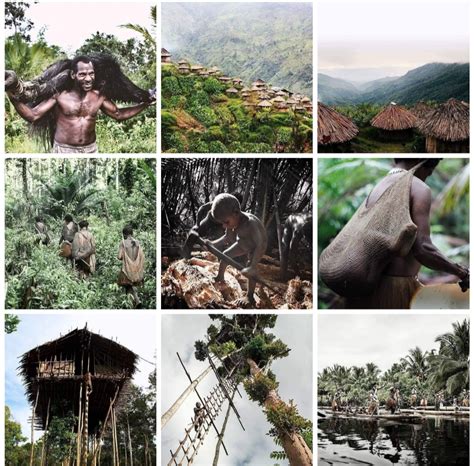 Sekelumit Tentang Kehidupan Suku Suku Di Pedalaman Papua