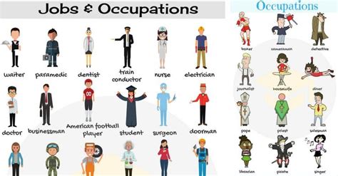 List Of Jobs And Occupations Types Of Jobs With Pictures Esl