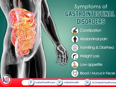 Health Education Gastrointestinal Disorders Health Gastrointestinal