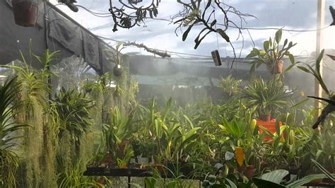 Our Greenhouse Misting Youtube