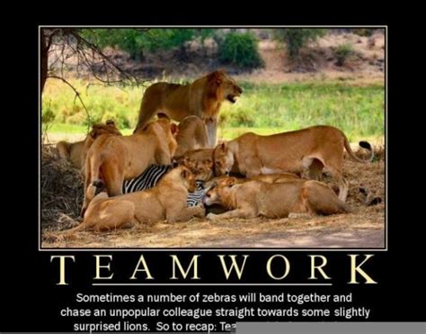 It can also become a way thank you memes that feature cats! Teamwork - Meme Guy