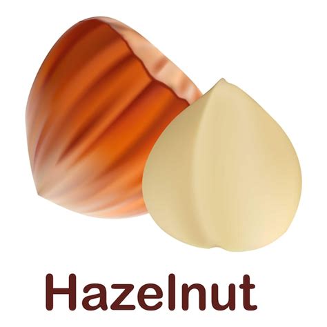 Premium Vector Hazelnut Icon Realistic Illustration Of Hazelnut