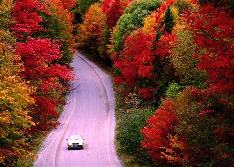 The Ultimate New England Fall Foliage Road Trip Lonely Planet Fall
