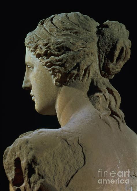 Venus De Milo Detail Of The Back Of The Head Hellenistic Period