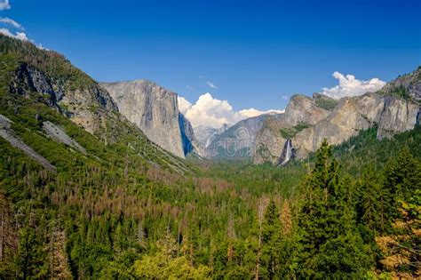 Yosemite National Park Valley Summer Landscape Stock Photo Image Of