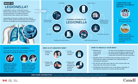 Infographic What Is Legionella Canadaca