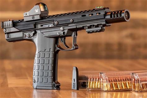 Keltec Cp33 Accessories Your Gun Needs Firearms News