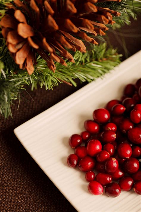 11. Juicy Christmas Turkey Guaranteed: Nigella's Secret