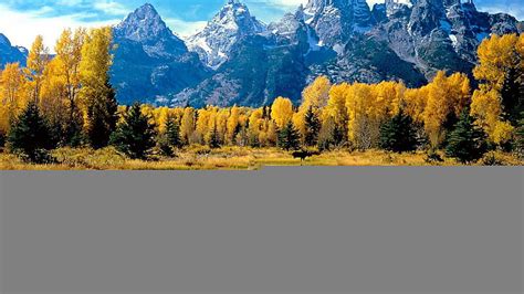Landscapes Autumn Season Forest Wyoming Grand Teton National Park Lakes