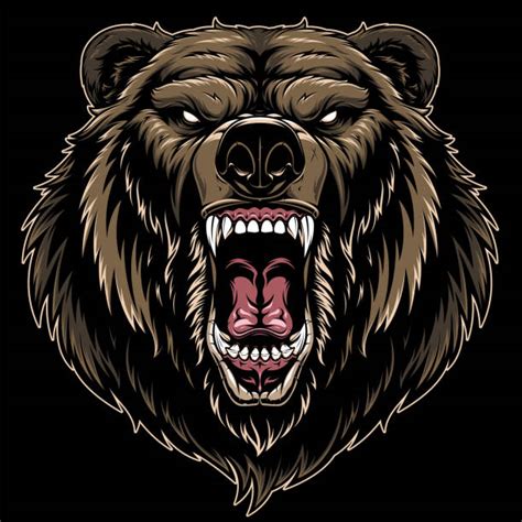 Grizzly Bear Head Illustrations Royalty Free Vector Graphics And Clip