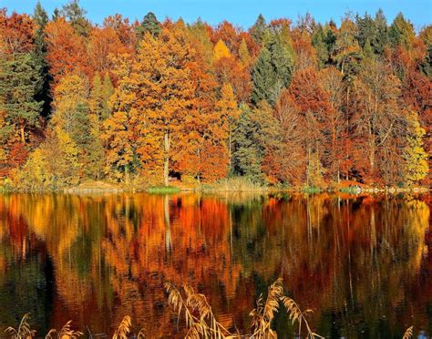 Fall Foliage In Arkansas Ultimate Guide 2023