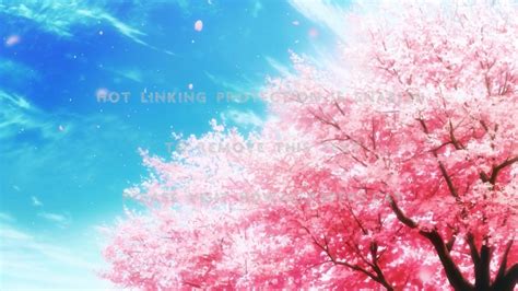 Discover more posts about sakura tree. 20+ Anime Sakura Tree Wallpaper - Anime Top Wallpaper