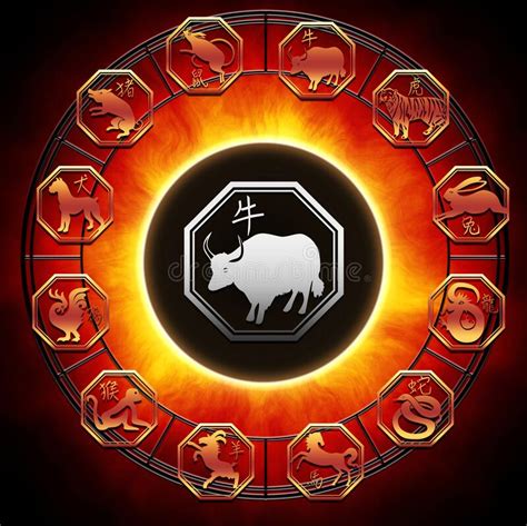 Chinese Zodiac With Vhina Astrological Signs And Ox In The Center Stock