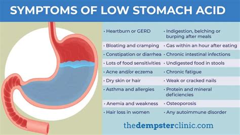 How And Why You Should Fix Low Stomach Acid Mcisaac Health Systems Inc