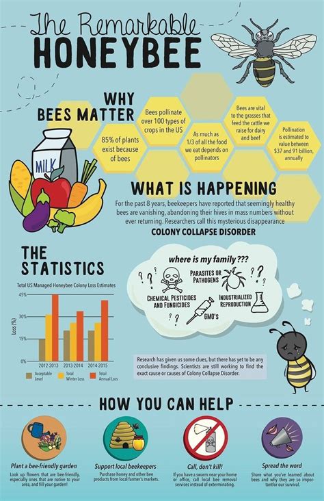 The Incredible World Of Honeybees