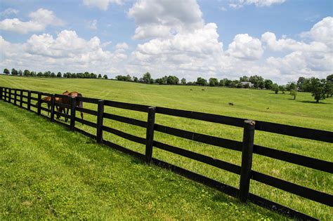 The Installation Of Horse Fencing Can Be Time Consuming And Cost