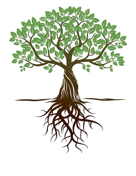 Free Tree With Roots Clipart Download 10 Free Cliparts Download