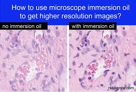 How To Use Microscope Immersion Oil To Get Higher Resolution Images