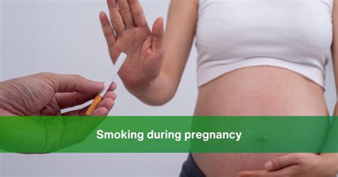 Is Smoking During Pregnancy Really Harmful Revealing 10 Significant Risks And Facts