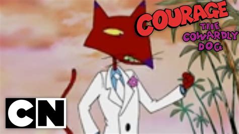 Courage The Cowardly Dog Cat