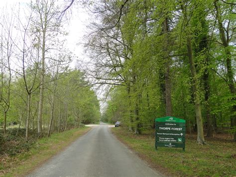 Entrance Drive To Thorpe Forest © Adrian S Pye Geograph Britain And