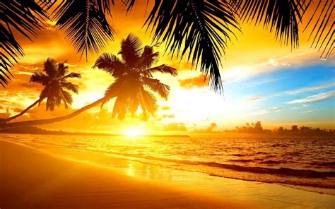 Tropical Island Beach Sunset