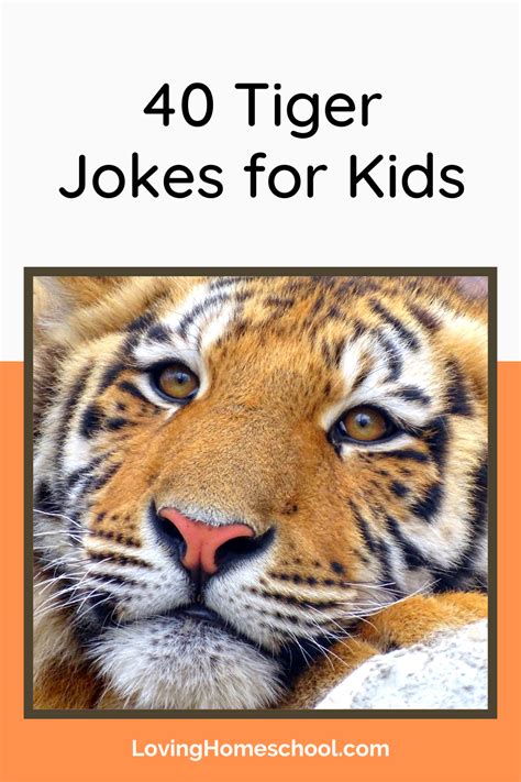 40 Tiger Jokes For Kids