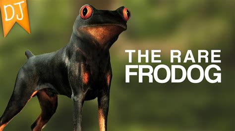 Frogs Head On A Dog Funny Photoshops 20 Youtube