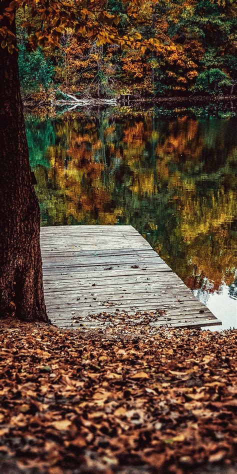 Pier Lake Fall Leaves Autumn Lake Reflections 1080x2160