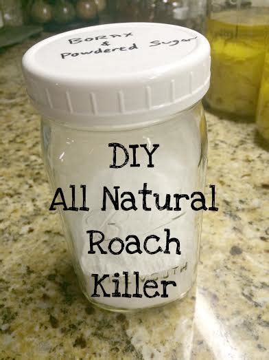 Diy All Natural Roach Killer All Natural And Good