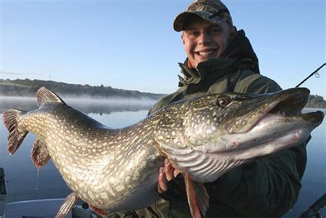 Big Fishes Of The World Pike Northern Page 2