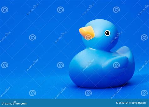 Blue Rubber Duck On Blue Background Stock Photo Image Of Squeaky