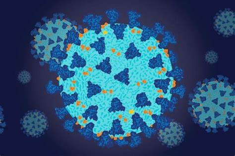 Uncovering Why The Covid 19 Virus Is So Infectious And Efficiently