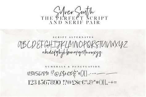 Similar free fonts for silver south script ttf (400). Silver South - Desktop Font & WebFont - YouWorkForThem